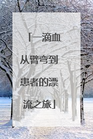 一滴血从臂弯到患者的漂流之旅