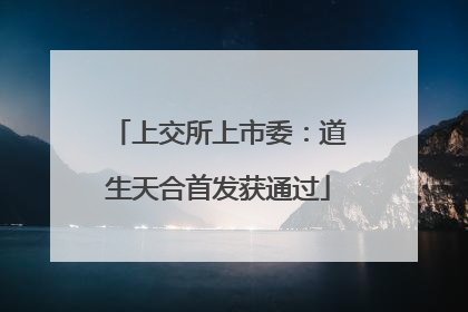 上交所上市委：道生天合首发获通过