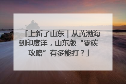 上新了山东｜从黄渤海到印度洋，山东版“零碳攻略”有多能打？