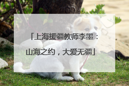 上海援疆教师李墨：山海之约，大爱无疆