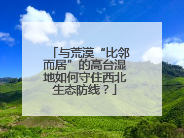 与荒漠“比邻而居”的高台湿地如何守住西北生态防线？