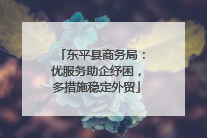 东平县商务局：优服务助企纾困，多措施稳定外贸