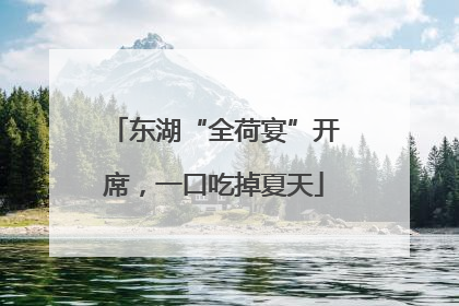 东湖“全荷宴”开席，一口吃掉夏天