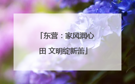 东营：家风润心田 文明绽新蕾