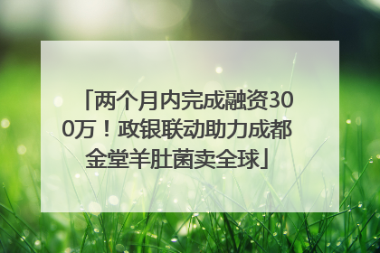 两个月内完成融资300万！政银联动助力成都金堂羊肚菌卖全球