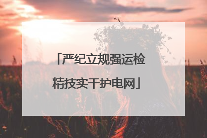 严纪立规强运检 精技实干护电网