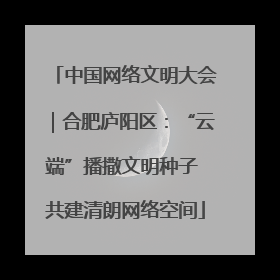 中国网络文明大会｜合肥庐阳区：“云端”播撒文明种子 共建清朗网络空间