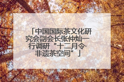 中国国际茶文化研究会副会长张仲灿一行调研“十二月令·非遗茶空间”