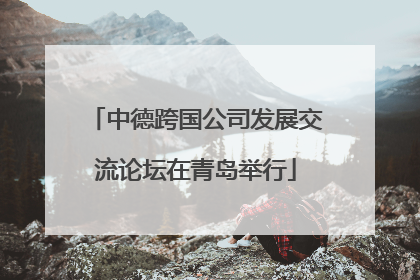 中德跨国公司发展交流论坛在青岛举行