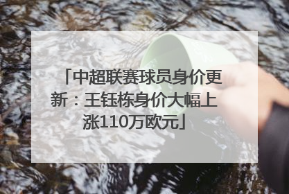 中超联赛球员身价更新：王钰栋身价大幅上涨110万欧元