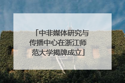 中非媒体研究与传播中心在浙江师范大学揭牌成立