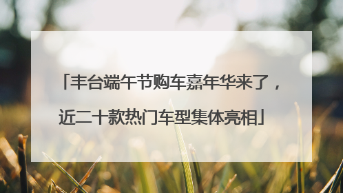 丰台端午节购车嘉年华来了，近二十款热门车型集体亮相