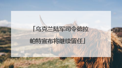 乌克兰陆军司令德拉帕特宣布将继续留任