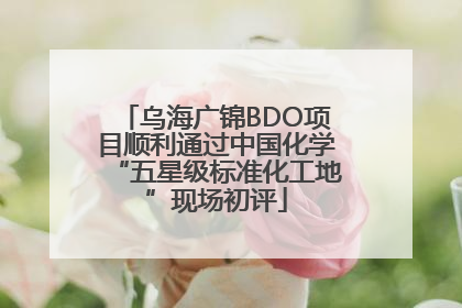 乌海广锦BDO项目顺利通过中国化学“五星级标准化工地”现场初评