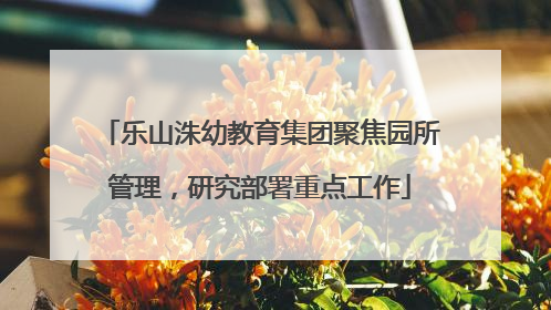 乐山洙幼教育集团聚焦园所管理，研究部署重点工作