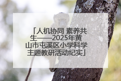人机协同 素养共生——2025年黄山市屯溪区小学科学主题教研活动纪实