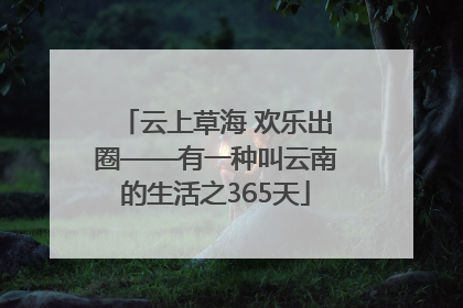 云上草海 欢乐出圈——有一种叫云南的生活之365天