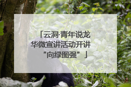 云洞·青年说龙华微宣讲活动开讲“向绿图强”
