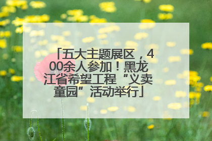 五大主题展区，400余人参加！黑龙江省希望工程“义卖童园”活动举行