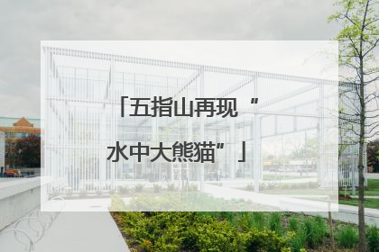 五指山再现“水中大熊猫”