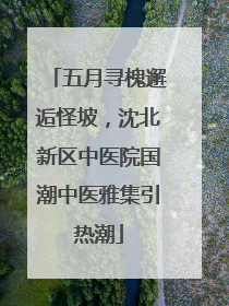 五月寻槐邂逅怪坡，沈北新区中医院国潮中医雅集引热潮