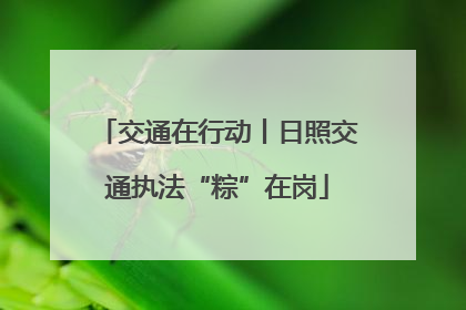 交通在行动丨日照交通执法“粽”在岗