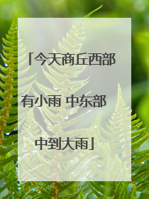 今天商丘西部有小雨 中东部中到大雨