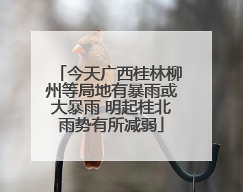 今天广西桂林柳州等局地有暴雨或大暴雨 明起桂北雨势有所减弱