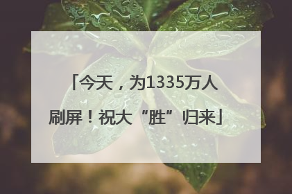 今天，为1335万人刷屏！祝大“胜”归来