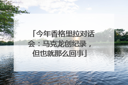 今年香格里拉对话会：马克龙创纪录，但也就那么回事