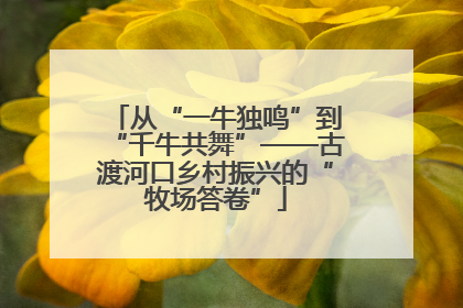 从“一牛独鸣”到“千牛共舞”——古渡河口乡村振兴的“牧场答卷”