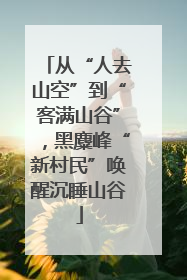 从“人去山空”到“客满山谷”，黑麋峰“新村民”唤醒沉睡山谷
