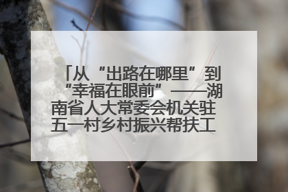 从“出路在哪里”到“幸福在眼前”——湖南省人大常委会机关驻五一村乡村振兴帮扶工作队书写振兴答卷