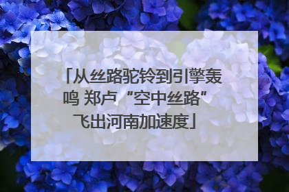 从丝路驼铃到引擎轰鸣 郑卢“空中丝路”飞出河南加速度