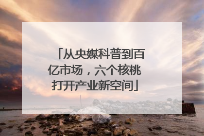 从央媒科普到百亿市场，六个核桃打开产业新空间