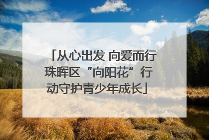 从心出发 向爱而行 珠晖区“向阳花”行动守护青少年成长