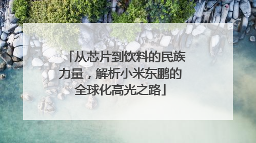 从芯片到饮料的民族力量，解析小米东鹏的全球化高光之路