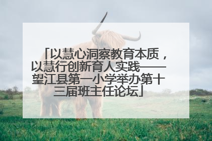 以慧心洞察教育本质，以慧行创新育人实践——望江县第一小学举办第十三届班主任论坛