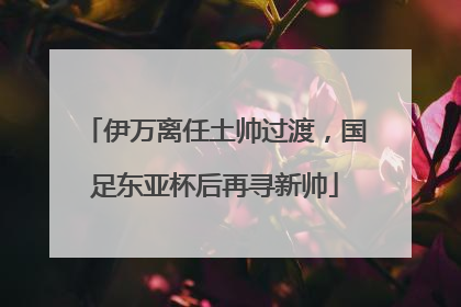 伊万离任土帅过渡，国足东亚杯后再寻新帅
