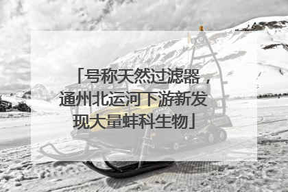 号称天然过滤器，通州北运河下游新发现大量蚌科生物