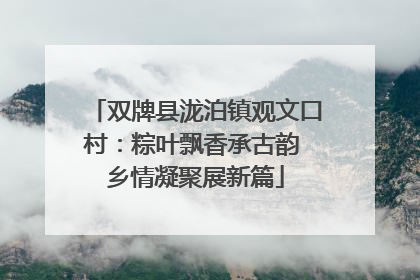 双牌县泷泊镇观文口村：粽叶飘香承古韵 乡情凝聚展新篇