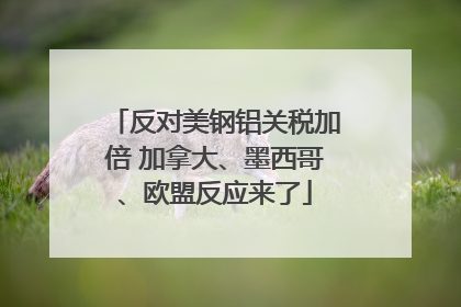 反对美钢铝关税加倍 加拿大、墨西哥、欧盟反应来了