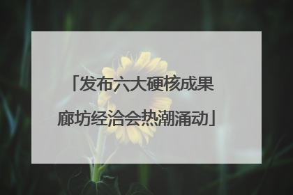 发布六大硬核成果 廊坊经洽会热潮涌动