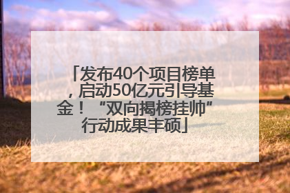 发布40个项目榜单，启动50亿元引导基金！“双向揭榜挂帅”行动成果丰硕