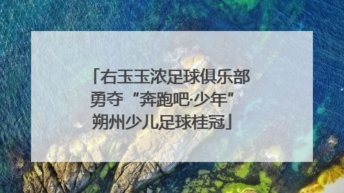 右玉玉浓足球俱乐部勇夺“奔跑吧·少年”朔州少儿足球桂冠