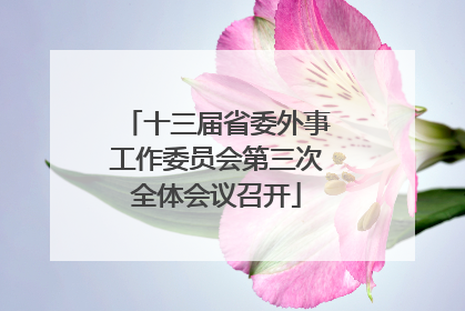 十三届省委外事工作委员会第三次全体会议召开