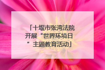 十堰市张湾法院开展“世界环境日”主题教育活动
