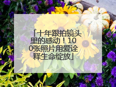 十年跟拍镜头里的感动！100张照片用爱诠释生命绽放