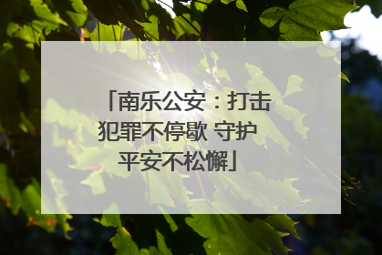 南乐公安：打击犯罪不停歇 守护平安不松懈