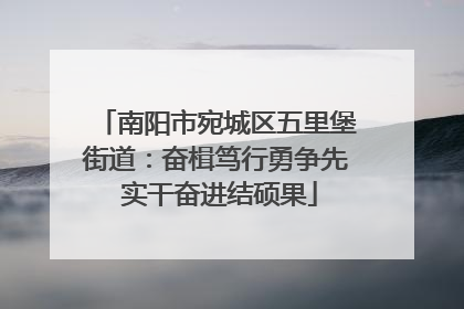 南阳市宛城区五里堡街道：奋楫笃行勇争先 实干奋进结硕果